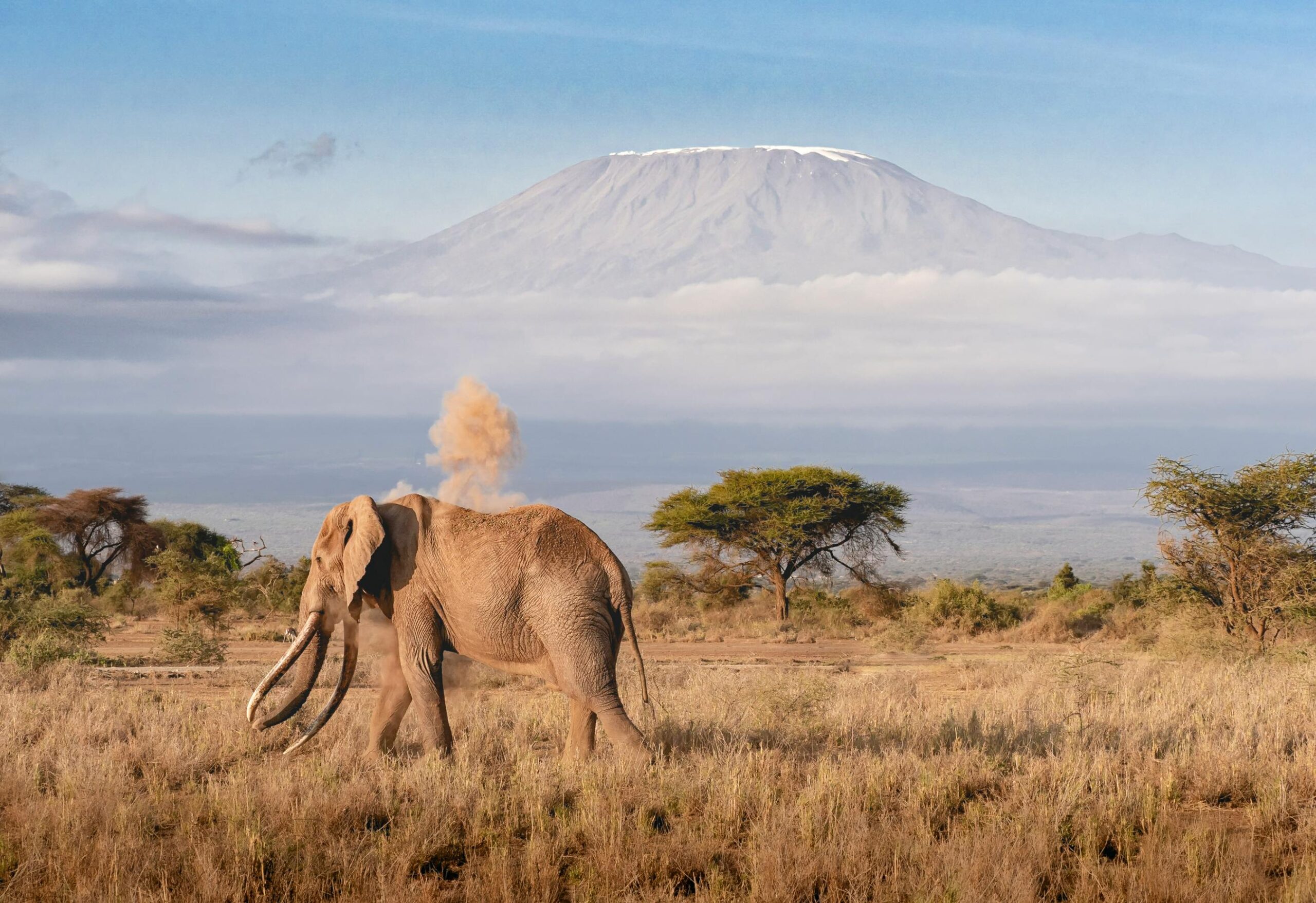 4 Lessons Learned while Hiking to the Summit of Mt Kilimanjaro